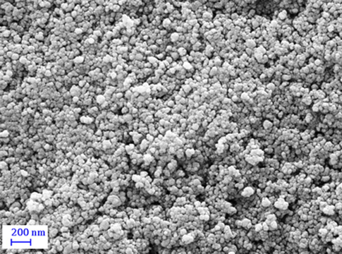 FE-SEM image of Au NPs@PEC nanocomposite.