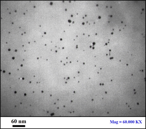 TEM image of Au NPs@PEC nanocomposite.