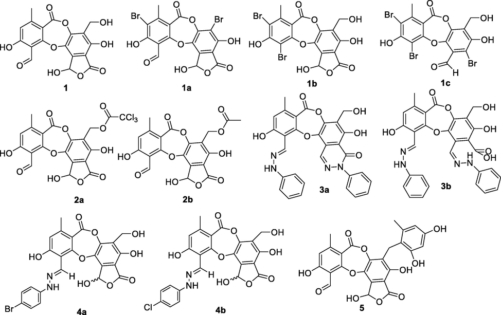 Chemical structure of compounds 1a-1c, 2a-2b, 3a-3b, 4a-4b, and 5.