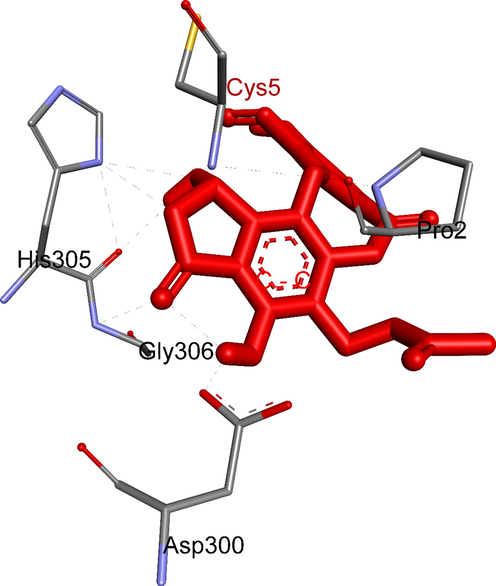 Five hydrogen bonds formed from residual amino acids of receptor, 5KEZ to active sites in ligand, 2a.