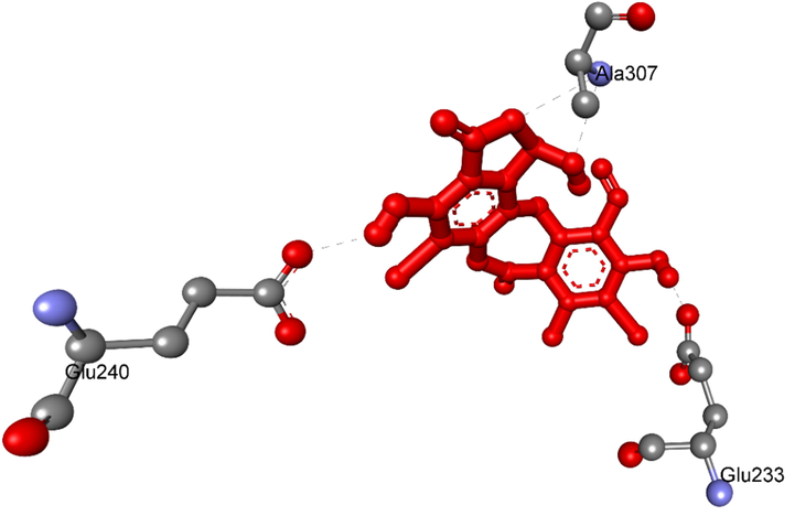 The hydrogen bond bound from residual amino acids of protein of enzyme, 5KEZ to pose 7/200, ranked pose of ligand 1a.