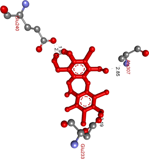 The hydrogen bonds formed from residual amino acids of receptor 5KEZ to active site binding atoms on the most stable conformation ligand 1c, pose 88.