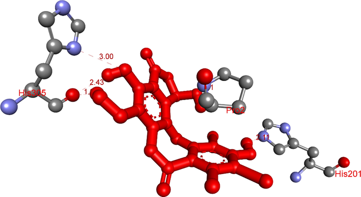 The hydrogen conducted from the conformation ligand 1b, pose 56 to amino acids of protein of enzyme, 5KEZ.