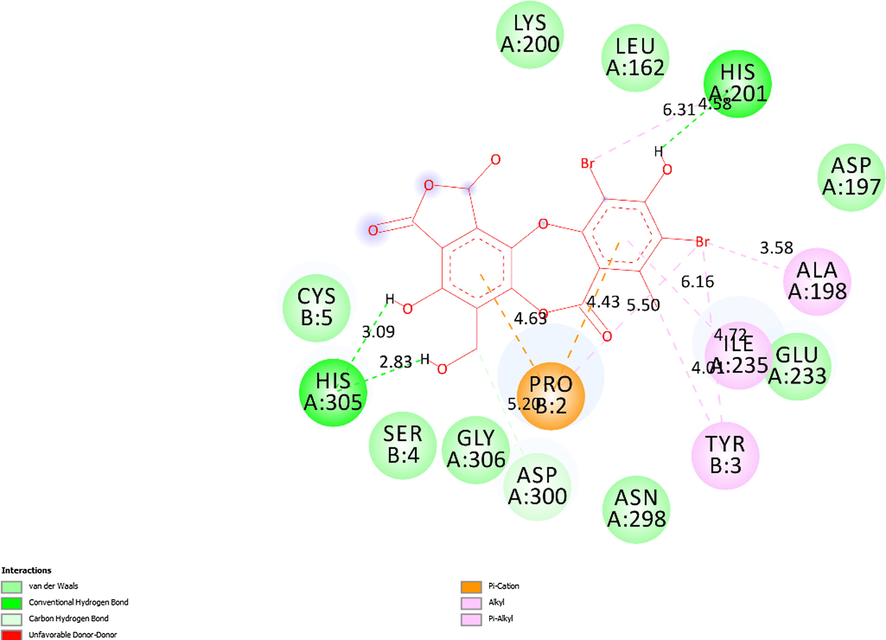 The 2D diagram indicated the essential interactions from residual amino acids of receptor, 5KEZ to active sites on the docking pose 88, ligand 1b.