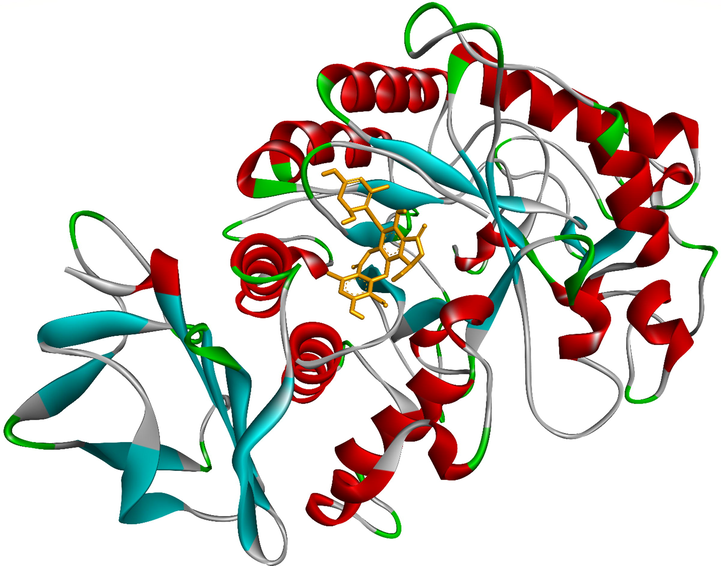 Ranked pose 13, the best stable conformation of ligand 5 docked to crystal structure of alpha-glucosidase, 5KEZ.