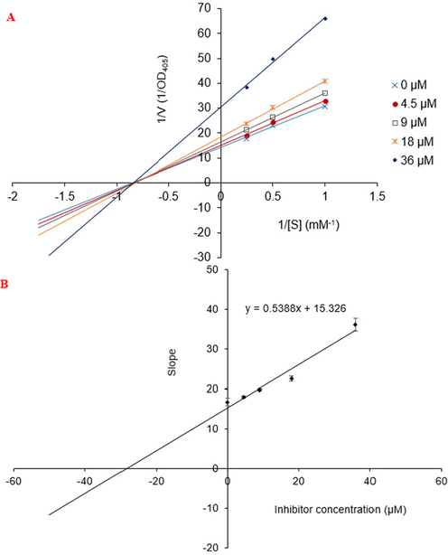 Lineweaver-Burk plot for alpha-glucosidase inhibition by compound 4a (A) and the secondary plot of slope vs the inhibitor concentration (B).