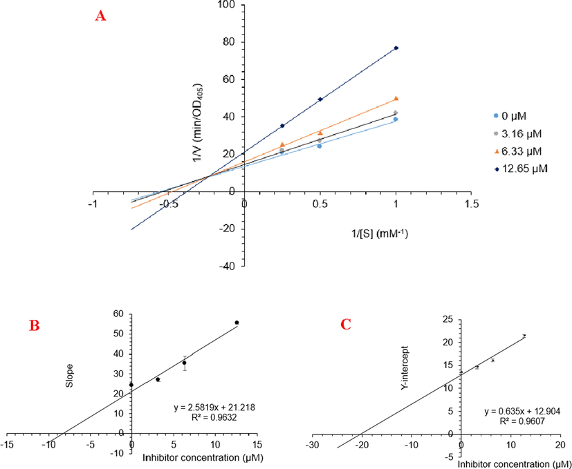 Lineweaver-Burk plot (A) for α-glucosidase inhibition by 5 and the secondary plots of slope and Y-intercept vs inhibitors concentration (B and C)