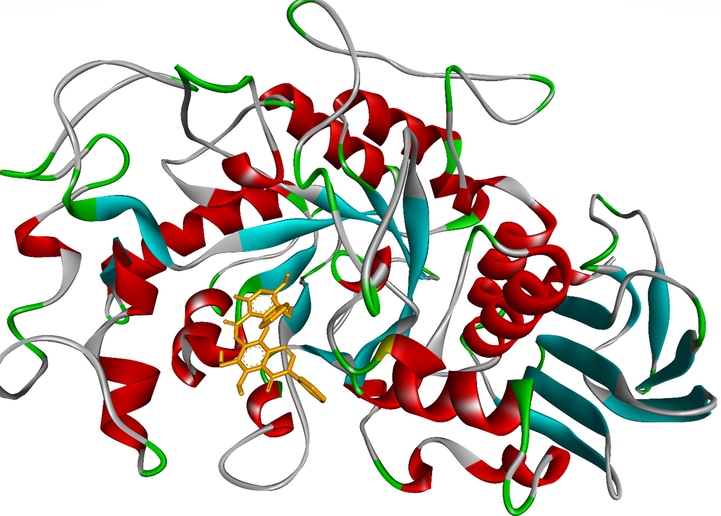 The most stable conformation ligand, 3b (ranked pose 65) was immersed in receptor, one enzyme 5KEZ: PDB.