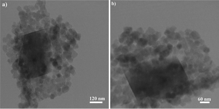 TEM photographs of sample 5.
