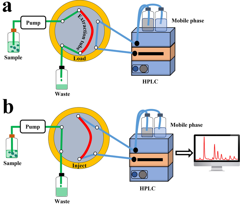 Online analysis procedures, composed of (a) online extraction and (b) online desorption and detection.