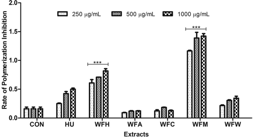 Polymerization Inhibition Assay. W. fruticosa leaf extracts (250, 500 and 1000 μg/mL) were evaluated for their polymerization inhibition potential. Each value is represented as mean ± SEM of three replicate experiments. (*** represent P < 0.05 signifying highly significant results compared to standard). WFH (Hexane extract), WFA (Acetone extract), WFC (Chloroform extract), WFM (Methanol extract), WFW (Aqueous extract).