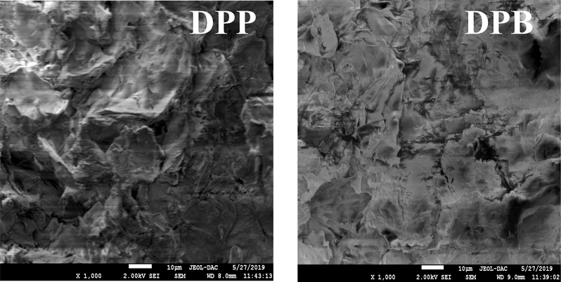 Scanning electron microscopy of DPP and DPB.