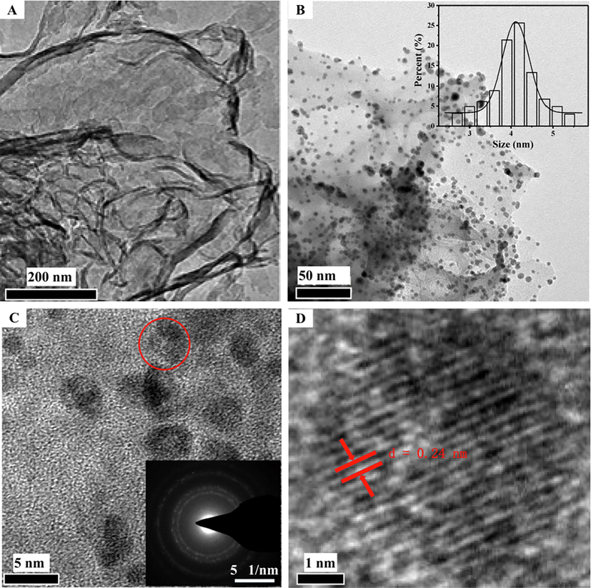 (A) SEM image of g-C3N4 nanosheets. (B) TEM image. Inset: corresponding particle size distribution of the Au-Ag NPs, (C) HRTEM image (inset SAED image) and (D) HRTEM image enlarged from the red circle region in Fig. 1C of the obtained Au-Ag/g-C3N4 NCs.