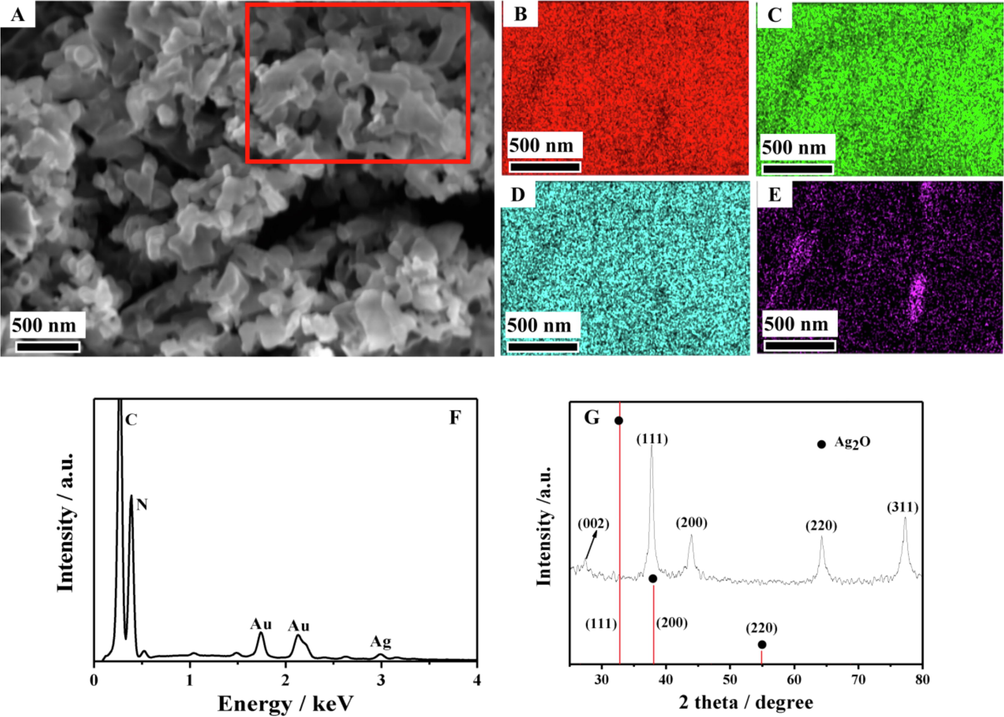 SEM image (A), element mapping images (from the red rectangle region in Fig. 2A) of C, N, Ag, Au (B–E), EDS spectrum (F) and XRD pattern (G) of the obtained Au-Ag/g-C3N4 NCs.