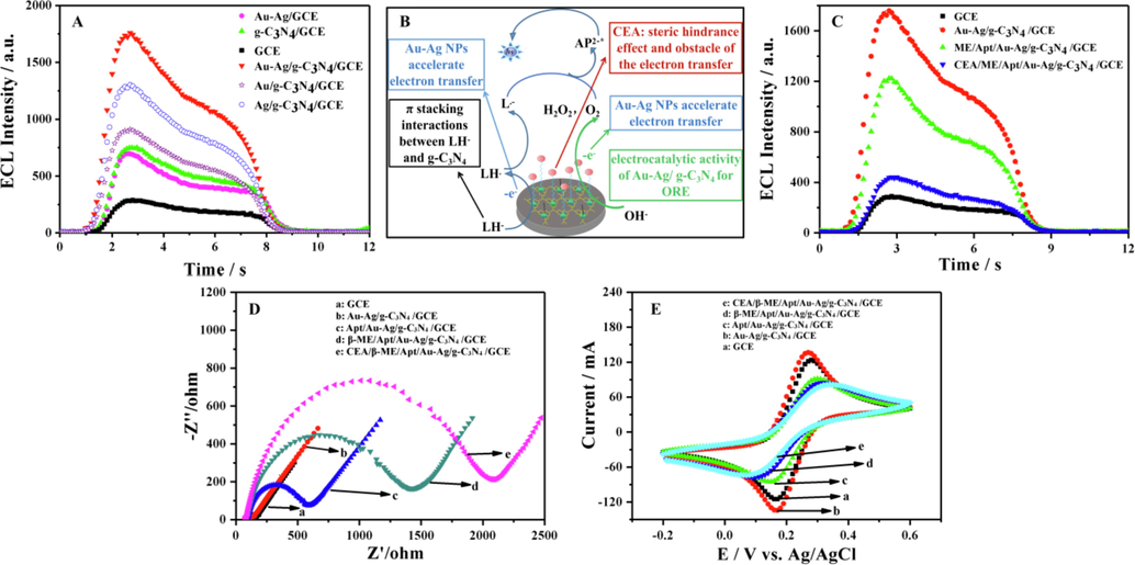 (A) Influence of the different nanomaterials on ECL intensity. (B) The possible ECL mechanisms of the proposed aptasensor. (C) ECL responses at the different fabrication stages of the aptasensor (1.0 ng/mL CEA). (D) EIS and (E) CV of the different modified electrodes in 5.0 mM [Fe(CN)6]3−/4− containing 0.1 M KCl.