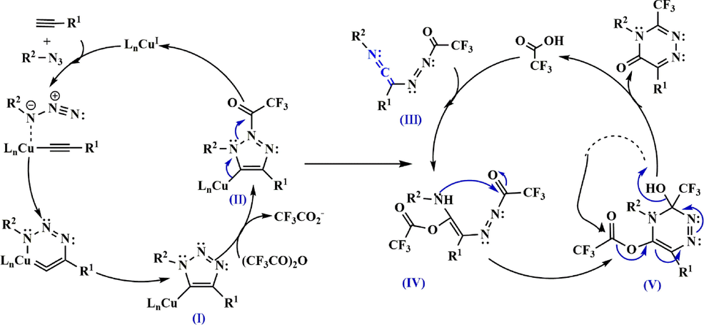 Recommended mechanism for the synthesis of 3-trifluoromethyl-substituted 1,2,4-triazinone 131.