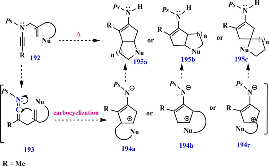 Various pathways of N-phosphoryl ynamide synthesis.