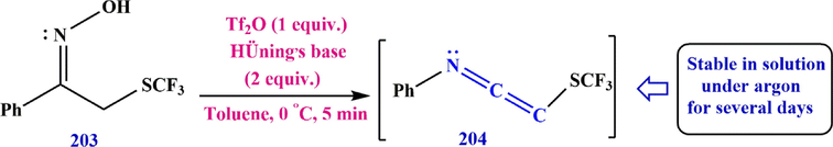 Synthesize ketoxime 204.