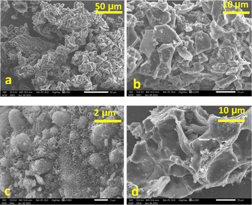 Scanning electron micrograph (SEM) of biochar before (a), (b) and after (c), (d) nitrate adsorption. The corresponding X-ray energy dispersive spectra (EDS) of the red selected region of biochar.