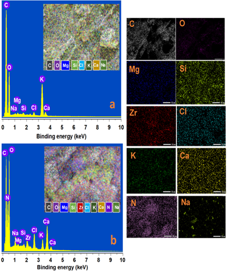 The corresponding X-ray energy dispersive (EDS) spectra of biochar before (a), and after (b) nitrate adsorption. The mapping analysis of biochar before and after nitrate adsorption, indicates the mainly heterogeneous distribution of C, N, O, Mg, Si, P, Cl, Ca, and K (scale bar, 10 µm). (For interpretation of the references to color in this figure legend, the reader is referred to the Web version of this article.).