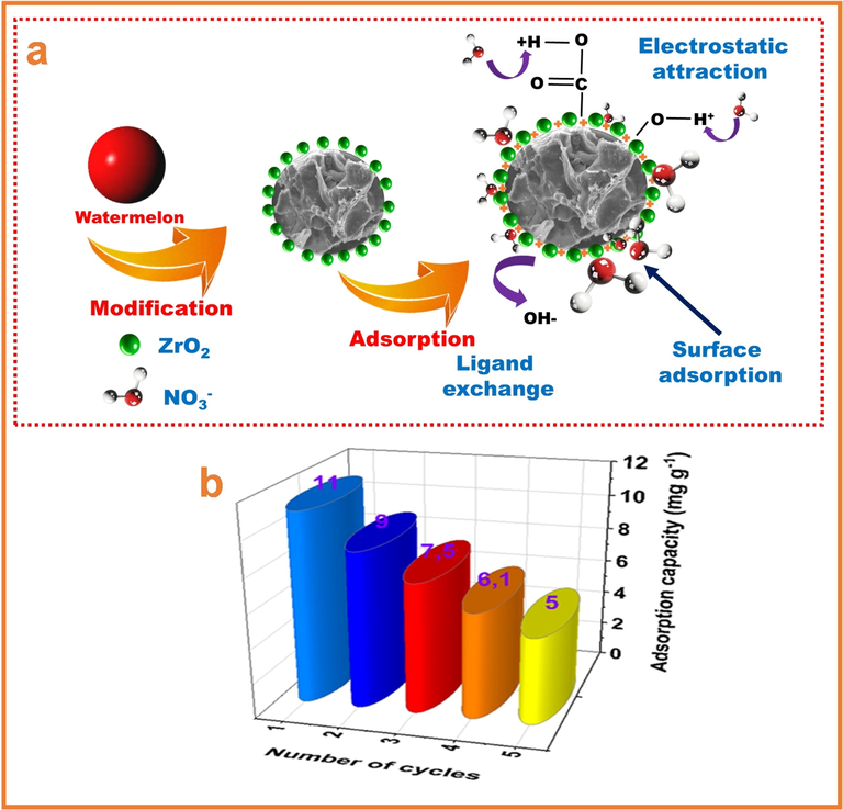 (a) The mechanism of nitrate adsorption with WM@ZrO2. (b) The adsorption capacity of WM@ZrO2 in five cycles.