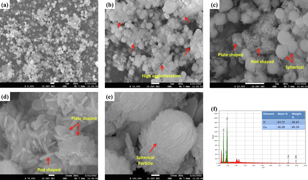 (a) - (e) FESEM images and (f) EDX spectra of synthesized CuO NPs.