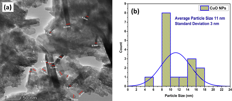 (a) Particle size analysis with TEM image and (b) particle size distribution histogram of CuO NPs with normal fitting obtained from imageJ.