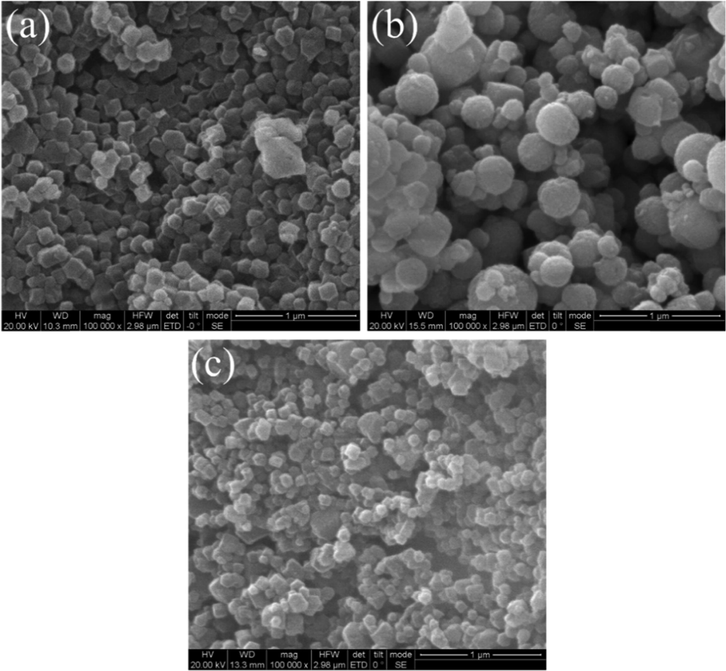 SEM images of (a) ZIF-8, (b) Fe3O4, and (c) MFZ.