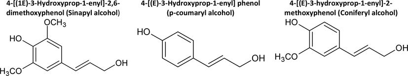 Most common phenylpropanoid units of lignins.