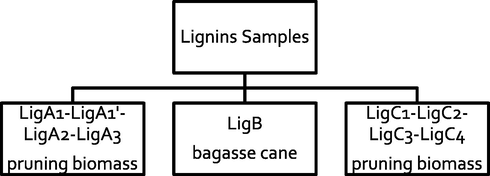 Origin of Lignin samples characterized in this work.