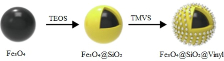 The synthesis steps and surface of Fe3O4@SiO2@Vinyl.