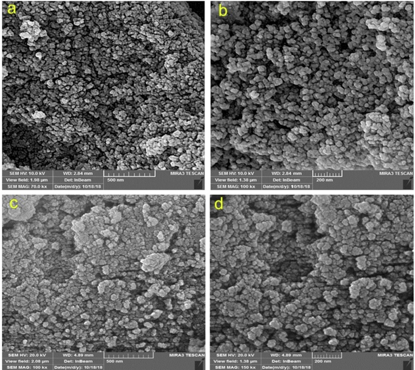 The FE-SEM image of a,b. Fe3O4; c,d. Fe/POSH/MFA.