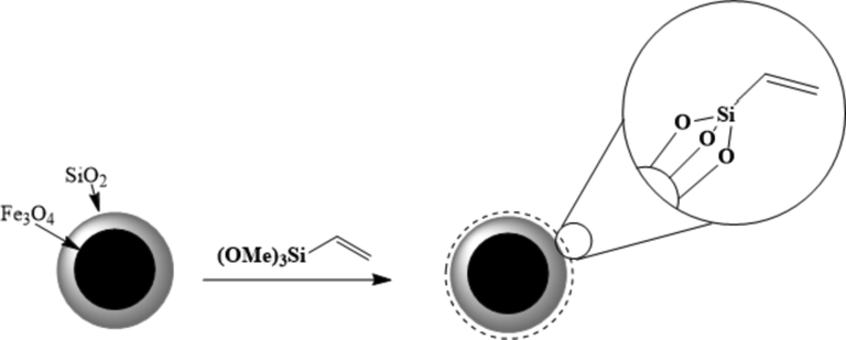 The functionalization of the magnetized core of Fe3O4@SiO2@Vinyl.