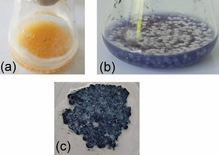 (a) UiO-66@GT appearance after three days incubation, (b) UiO-66@GT composite at five days decolorization time, and (c) the filtered composite after five days used.