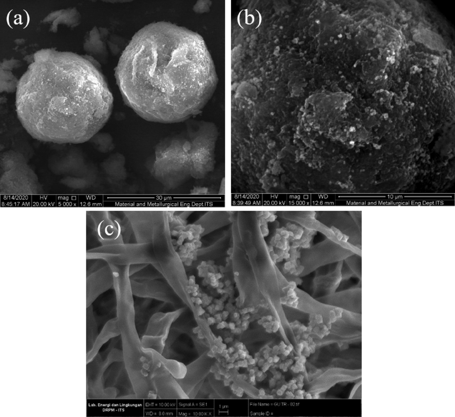 SEM Micrographs: (a) spherical granules of UiO-66@GT composite (magnified 5K x), (b) the composite surface (magnified 15K x), (c) cross-section of the composite (magnified 10K x).