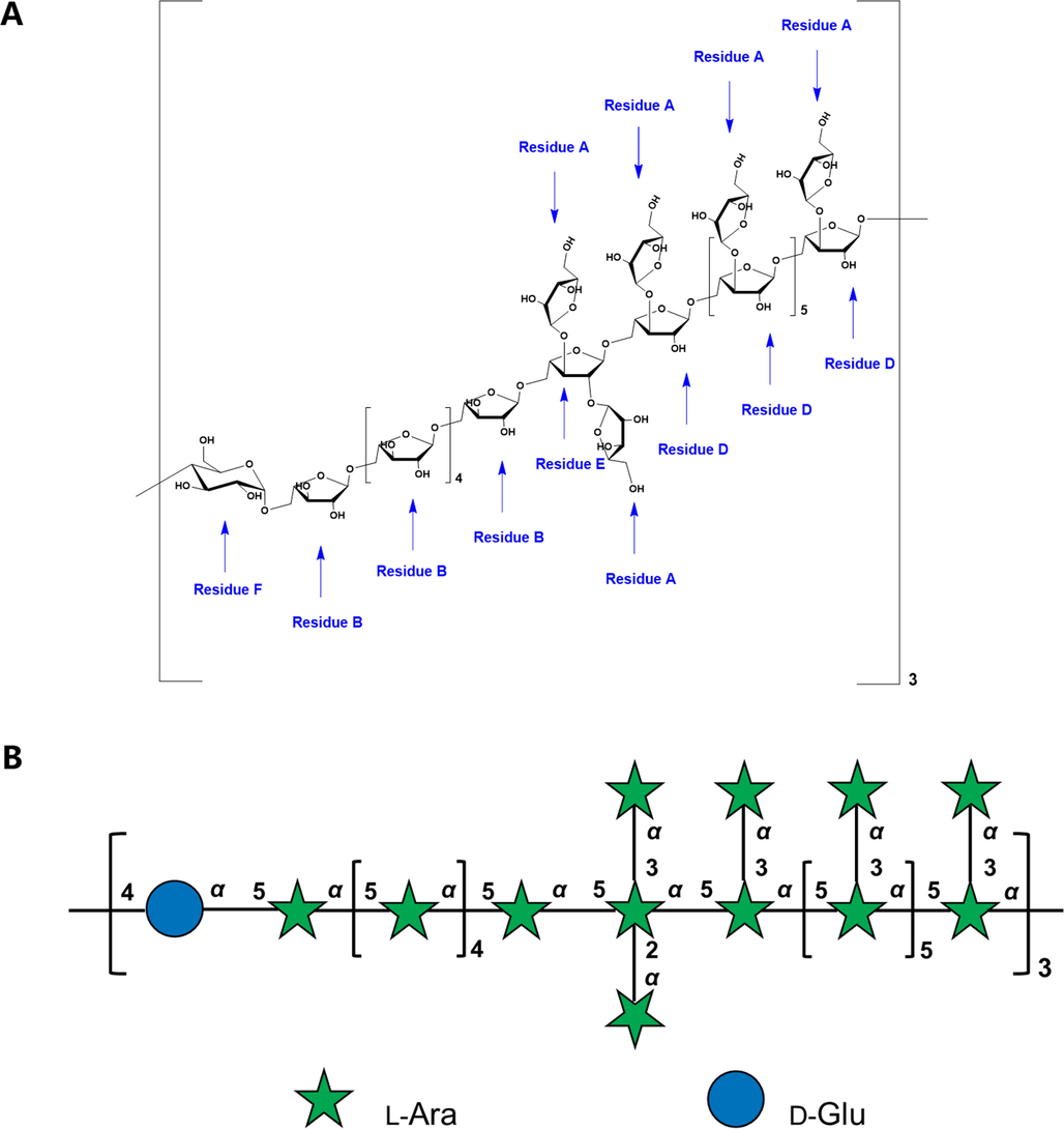 The putative structure of PLP90-1B. (A) The structure of PLP90-1B represented with structural formula. (B) The structure of PLP90-1B represented with symbols.