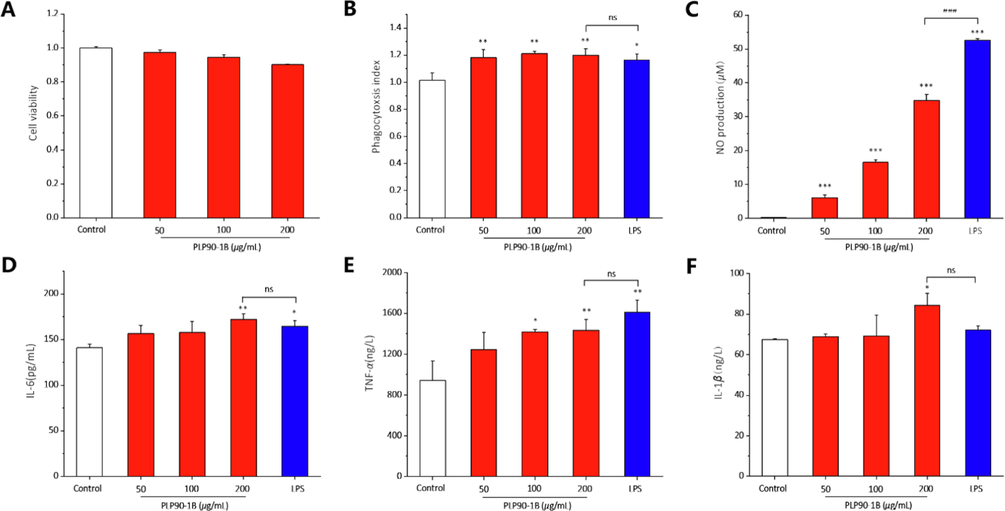 Effects of PLP90-1B and positive control (LPS) on RAW264.7 cells. (A) Cell viability of RAW264.7 cells. (B) Phagocytic capacity of RAW264.7 cells. (C) NO production in RAW264.7 cells. (D) IL-6 levels in RAW264.7 cells. (E) TNF-α levels in RAW264.7 cells. (F) IL-1β levels in RAW264.7 cells. All values were presented as the mean ± SD of at least three independent experiments. *P < 0.05, **P < 0.01, ***P < 0.001 versus the control group; ###P < 0.001 versus the LPS group; ns, no significance.