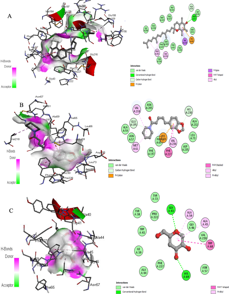 3D and 2D Interaction of tyrosinase with ligands. “A” Vitamin E, “B” Piperine, and “C” Kojic acid.