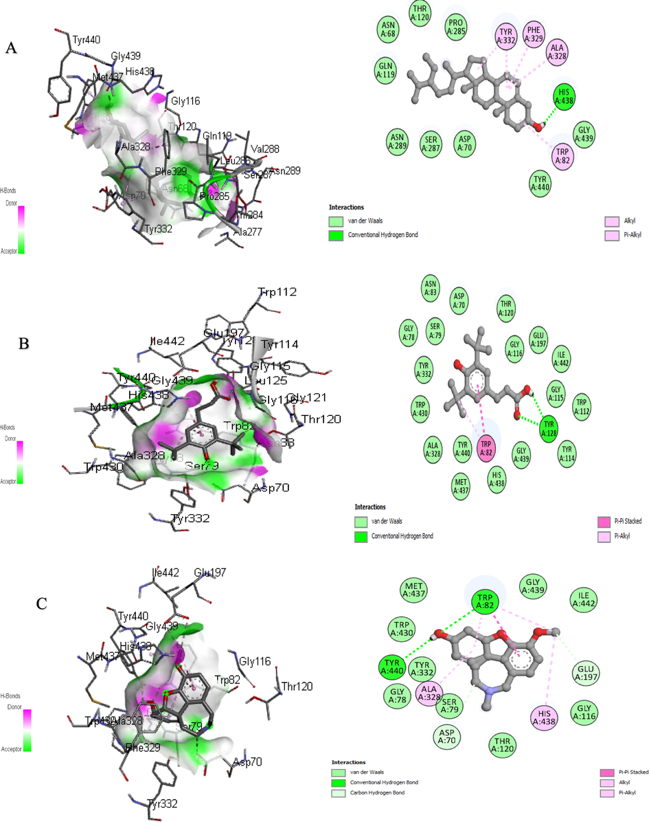 3D and 2D Interaction of butyrylcholinesterase with ligands “A” Sitosterol, “B” 3-(3,5-Di-tert-butyl-4-hydroxyphenyl) propionic Acid, and “C” Galantamine.