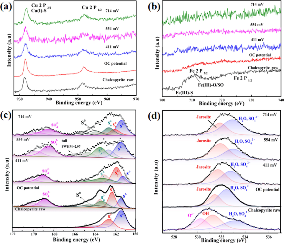 XPS spectrums of (a) Cu 2p, (b) Fe 2p, (c) S 2p and (d) O 1 s of chalcopyrite obtained after potentiostatic polarization for 3600 s at different potentials in 1.0 mol/L sulfuric acid at 130 °C.