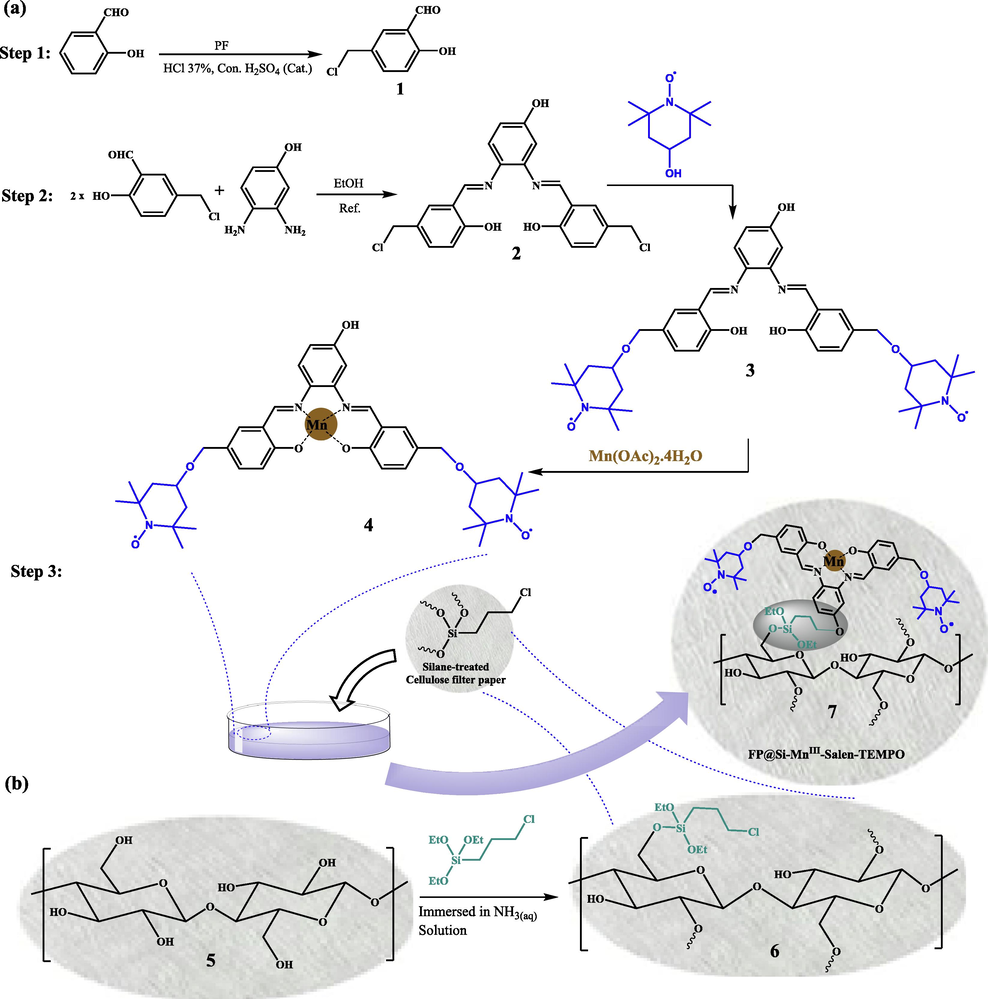 A schematic view for the preparation of (a) N,N′-(4-OH-phenylenebis(SA-5-TEMPO)-Mn(II)complex (4) and FP@Si-MnIII-Salen-TEMPO (7), and (b) silylation of the cellulose filter paper by 3-chloropropyltriethoxysilane (FP@Si-Cl).