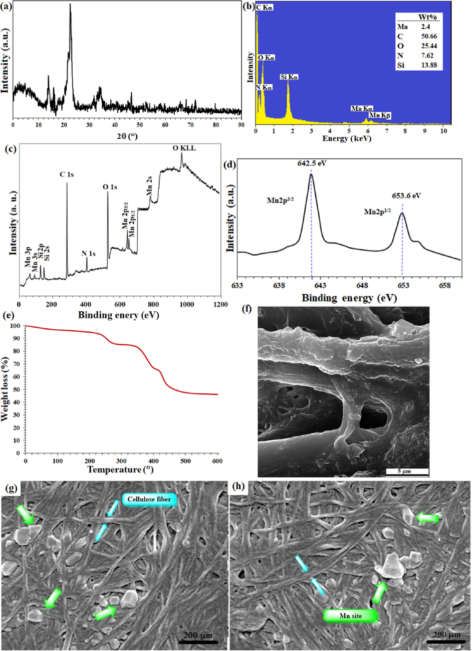 (a) XRD pattern, (b) EDX spectrum, (c) XPS overal survey analysis, (d) high resolution XPS-Mn 2p (normalized, energy corrected) analysis, (e) TGA analysis, and (e),(f),(g) FE-SEM image of FP@Si-MnIII-Salen-TEMPO filter paper.