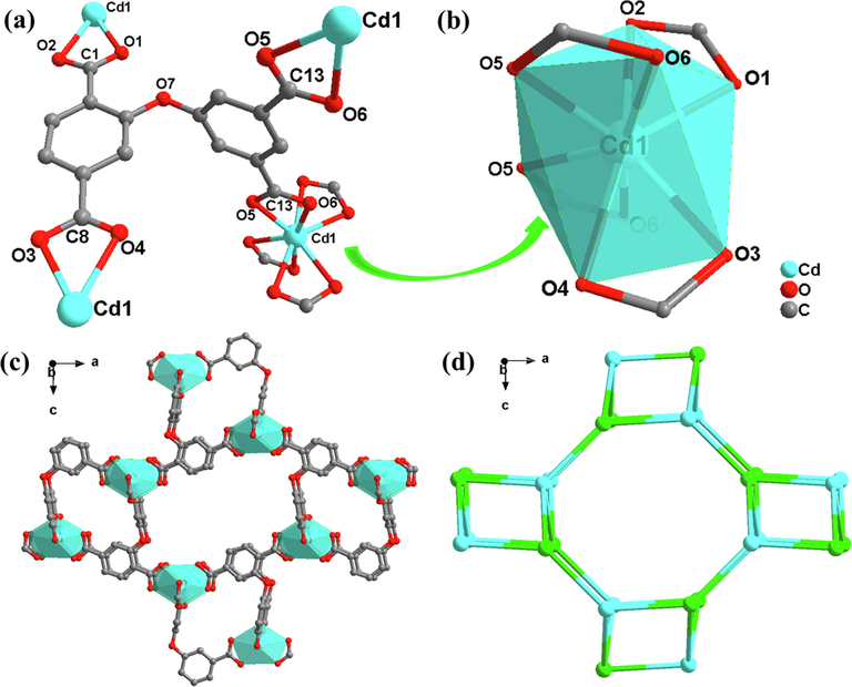 (a) SBU of 1; (b) Coordination circumstance of the Cd atom in 1；(c) 3D framework along b axis; (d) topological network.