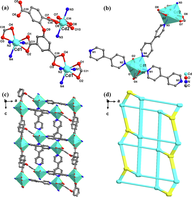 (a) SBU of 2; (b) Coordination circumstance of the Cd atom in 2；(c) 3D framework along c axis; (d) pcu topological network.