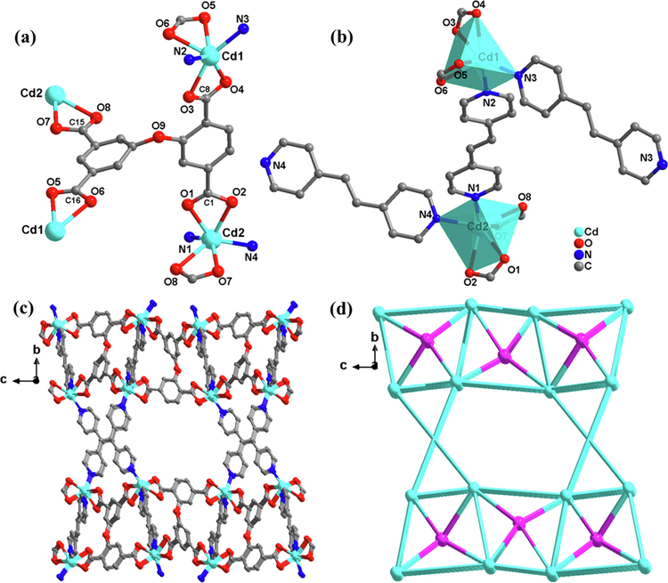 (a) secondary building unit of 3; (b) Coordination circumstance of the Cd atom in 3；(c) 3D framework along the a axis; (d) topological network.