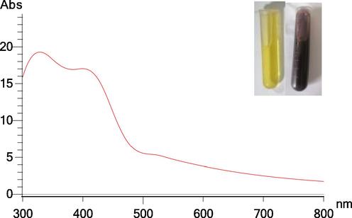 UV–Vis spectrum of AgNPs - B synthesized obtained at an optimized method. The inset shows the color change of reaction solution at 24 h.