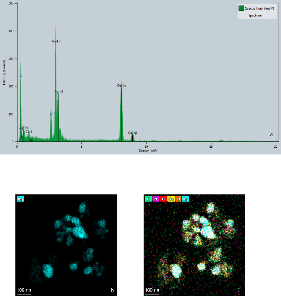 EDX spectrum of synthesized AgNPs - B (a) and distribution of silver (b) and other elements (c) in elemental mapping.