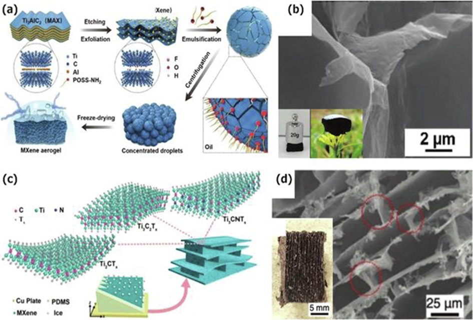 Developoment of MXene aerogels via surfactants (a), SEM images of MXene aerogels (b), MXene aerogels and bidirectional freeze-casting of MXene aerogels (c), and SEM image of a free-standing MX-phase exfoliated into MXene on Cu plate with PDMS and SEM image of the developed MXene aerogels (d) development Microwave shielding. Reproduced with permission; Copyright 2022, Wiley Online reproduced with copyright materials, Wiley online (Wu et al., 2020).