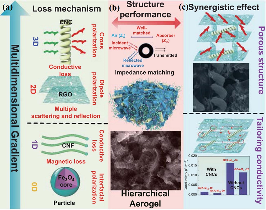 EMI shielding loss mechanism in development of multifunctional 3D composite aerogel structure (a), structural performance of  herarichal aerogel structure (b), synergistic effect in 0D-3D porous structure showing conductivity for multifunctional gradient  (c),  reproduced with copyright materials from the Springer Nature (Zhao et al., 2021).