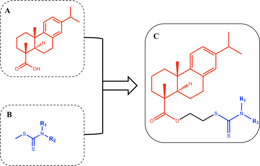 (A) Structure of dehydroabietic acid (DHA). (B) Structure of Dithiocarbamates (DTCs). (C) Structure of hybrids of dehydroabietic acid bearing dithiocarbamate moiety.